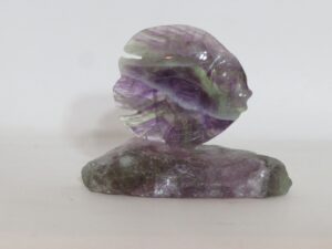 Fluorite Fish Crystal
