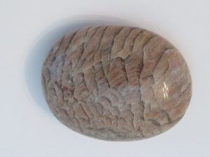 Tiger Feldspar Stone