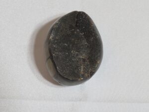 Septarian Nodules