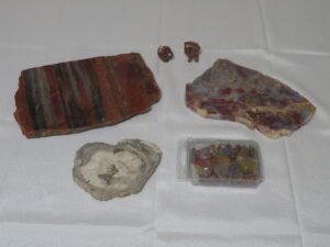 Petrified Wood